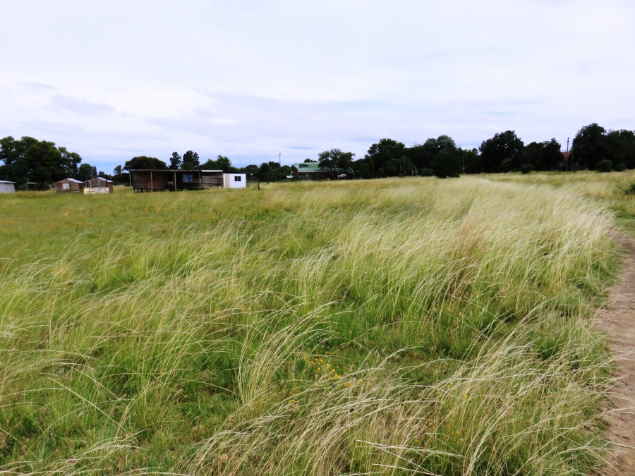 0 Bedroom Property for Sale in Oranjeville Free State